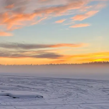 Lapland Northern Lights Cabin - Wooden Sauna 公寓 *