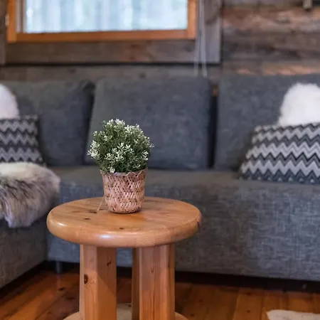 Lapland Northern Lights Cabin - Wooden Sauna 公寓 罗瓦涅米